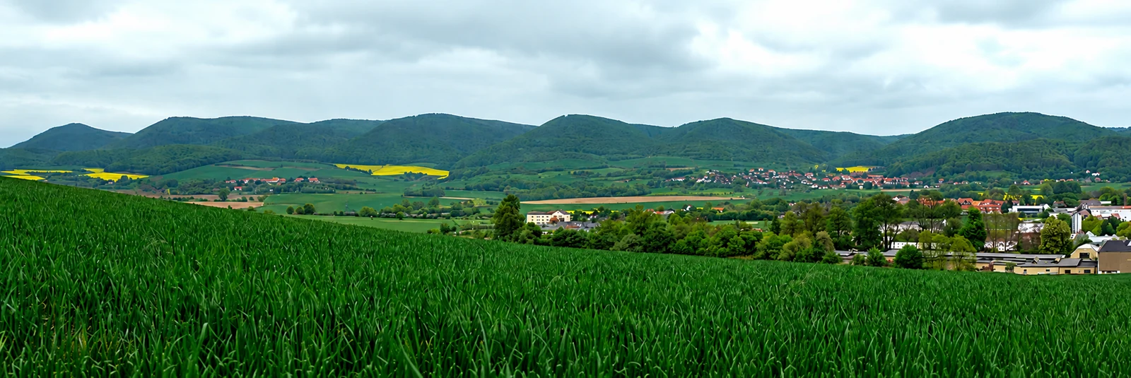 Alfelder Berge
